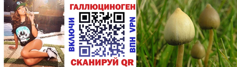 Псилоцибиновые грибы Psilocybe  omg маркетплейс  Шумерля 